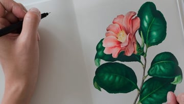 Designer drawing a rose flower in his white pages notebook with special tool