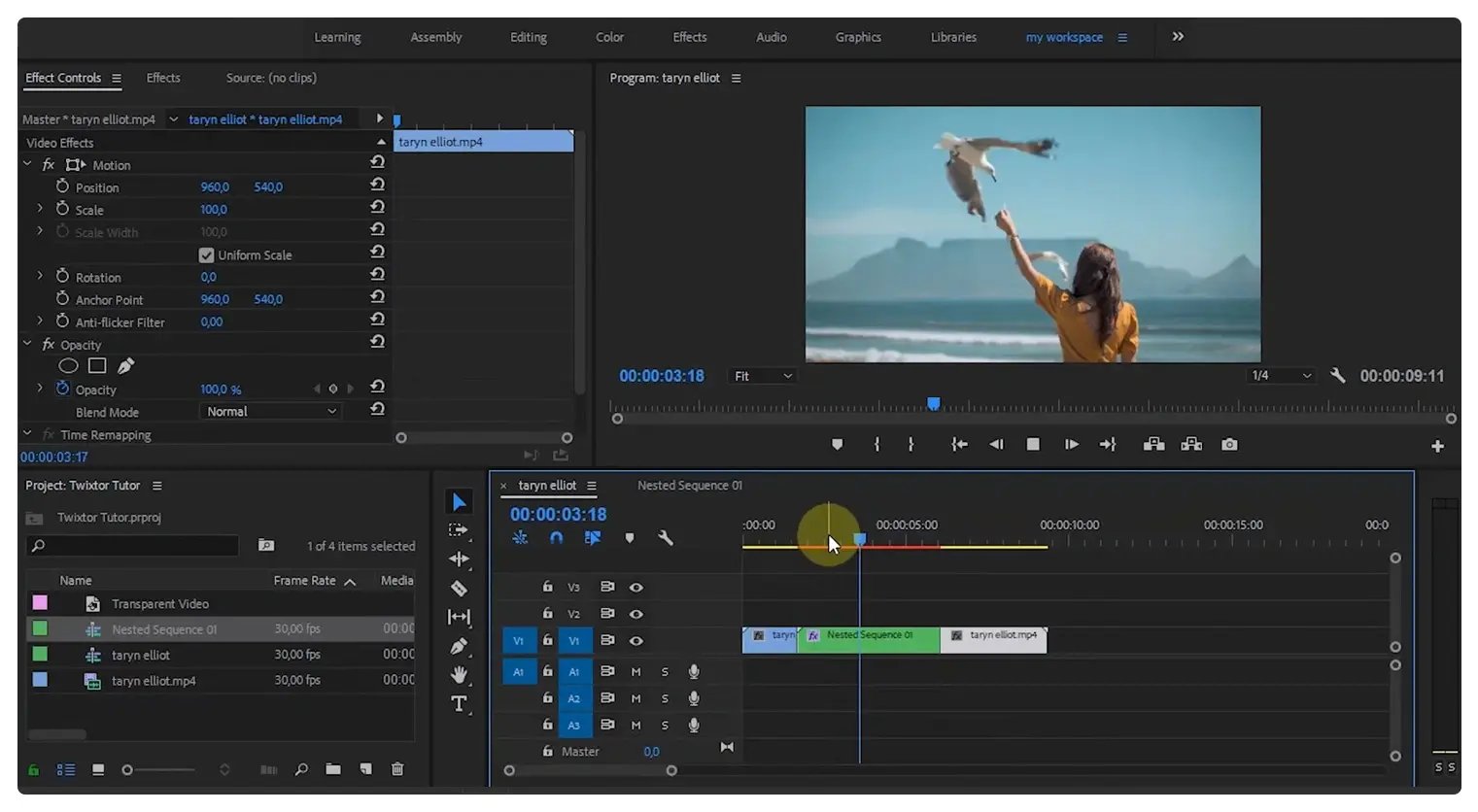 Twixtor Vision Effects plugin for Adobe Premiere Pro for video editors to retime footage