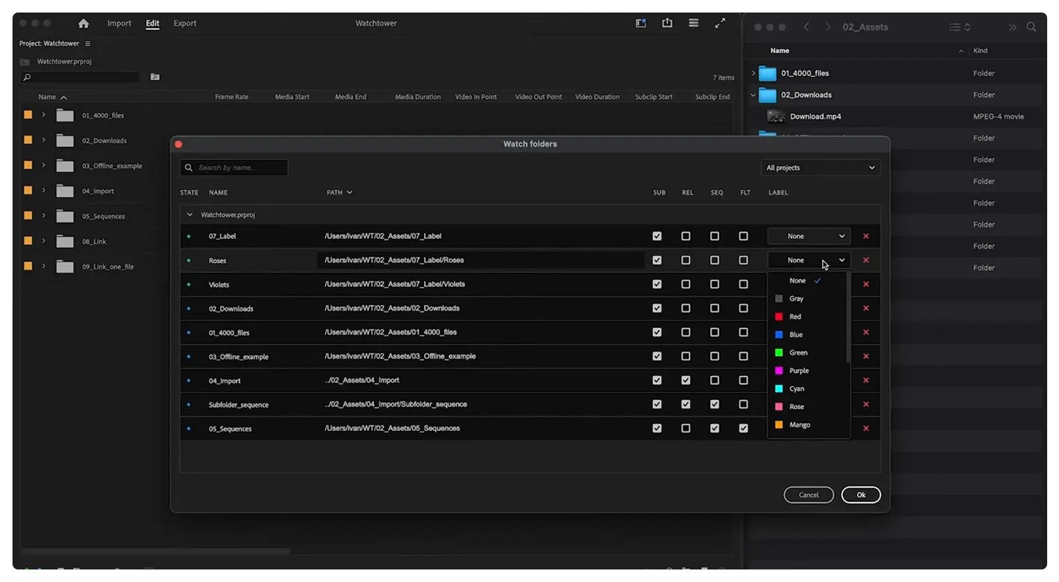 Watchtower highly efficient plugin for Adobe Premiere Pro and After Effects