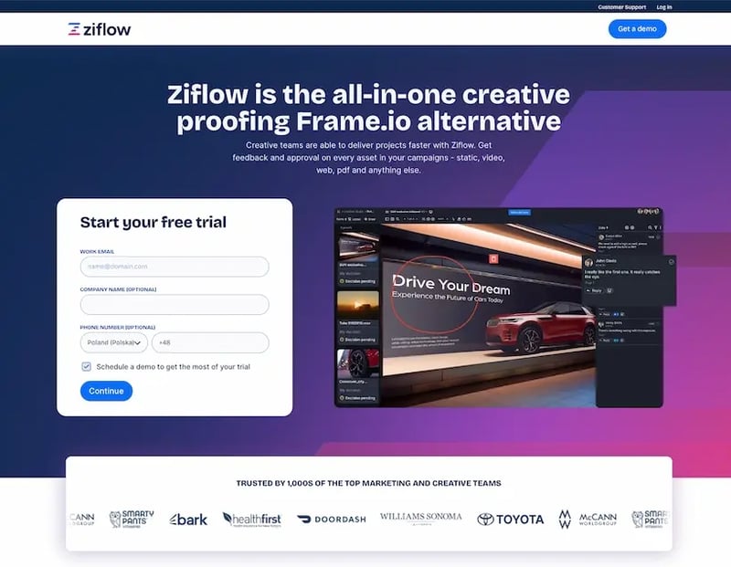 Ziflow frameio alternative landing page header with a form