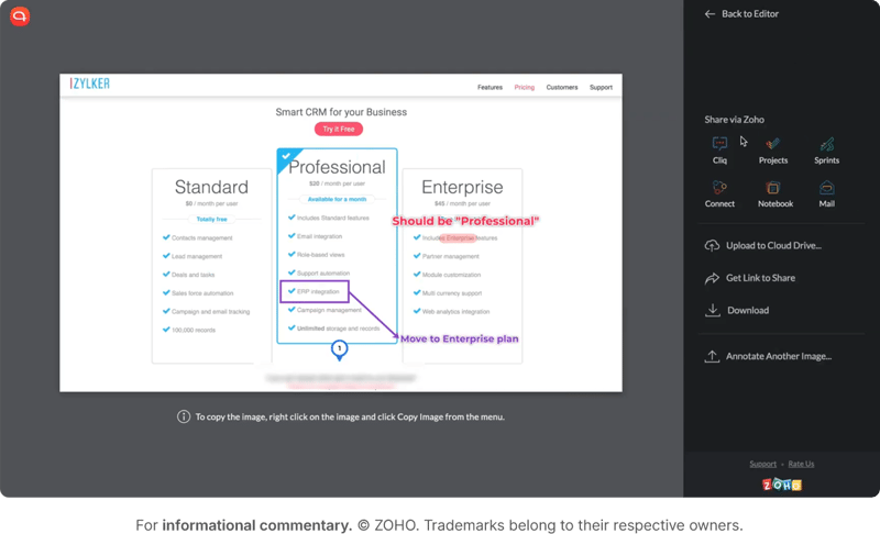 Zoho annotator pricing section being reviewed standard, professional, and enterprise